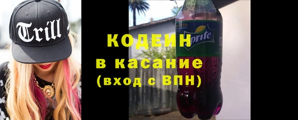шишки Магас