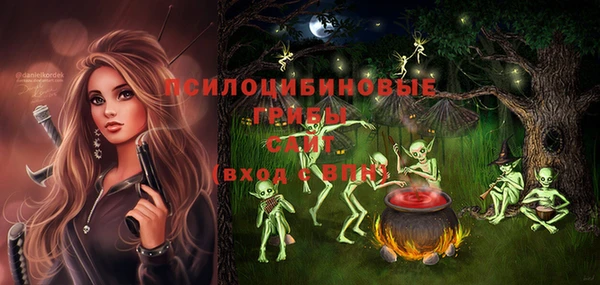 ешки Лагань