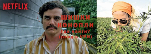 ешки Лагань