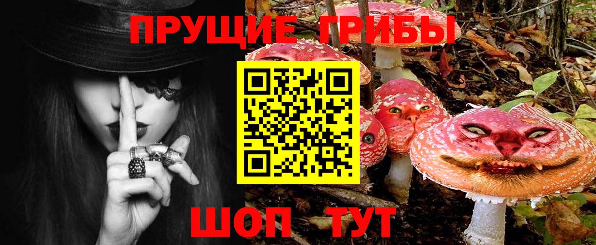 Галлюциногенные грибы мухоморы  Сунжа 