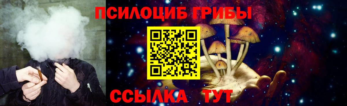 наркотики  Вход с VPN  Галлюциногенные грибы ЛСД  Сунжа  Галлюциногенные грибы ЛСД 