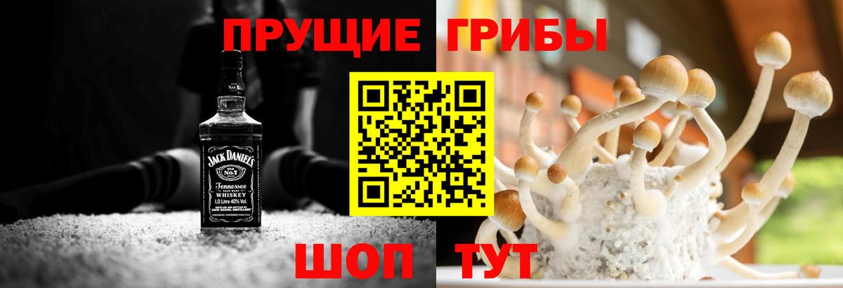 Псилоцибиновые грибы Magic Shrooms Сунжа