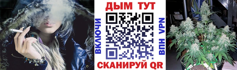 Конопля AK-47  Сунжа 