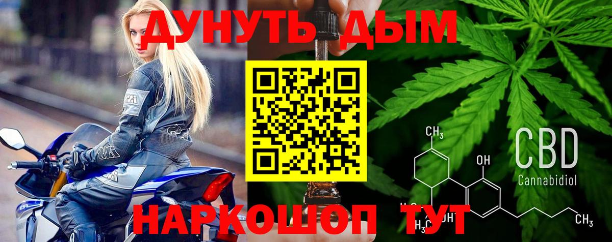 Канабис OG Kush Сунжа